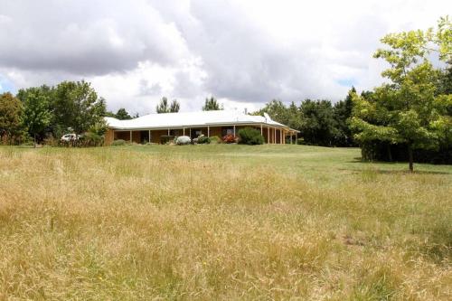 a house in the middle of a field at Topsys Corner - large rural house near Orange in Shadforth