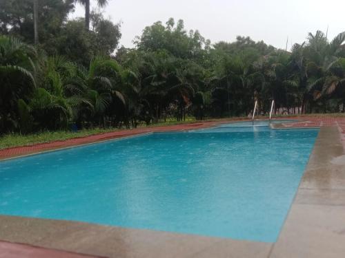 a large blue pool with trees in the background at Sunshine Beach House in Navalur