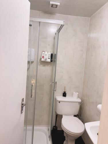a bathroom with a shower and a toilet and a sink at Mulgrave Lodge in Dun Laoghaire