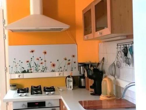 a kitchen with orange walls and a stove top oven at Gîte cosy en bord de rivière avec jardin, proche village médiéval, idéal famille, animaux acceptés - FR-1-489-247 in Hérisson