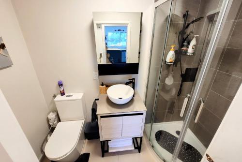 a small bathroom with a toilet and a shower at Unique Estuary & Bird Apartment in Te Haumi Paihia in Paihia