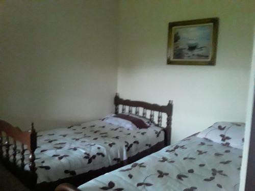 a bedroom with two beds and a picture on the wall at Casita Villa el sol in Alto Boquete
