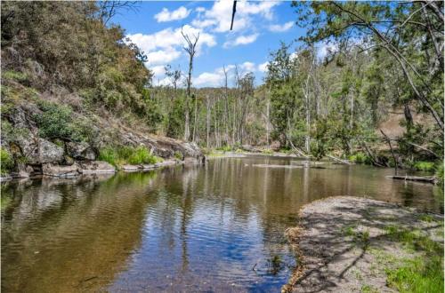 a river in the middle of a forest at Amaroo Escape in Coneac