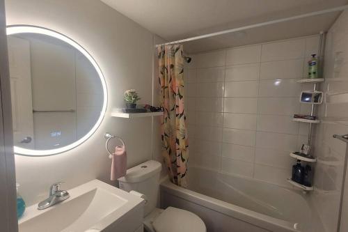 a bathroom with a sink and a toilet and a mirror at Two luxury bedrooms in the basement in Winnipeg