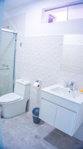 a white bathroom with a toilet and a sink at LAS GAVIOTAS DE PARACAS in Paracas