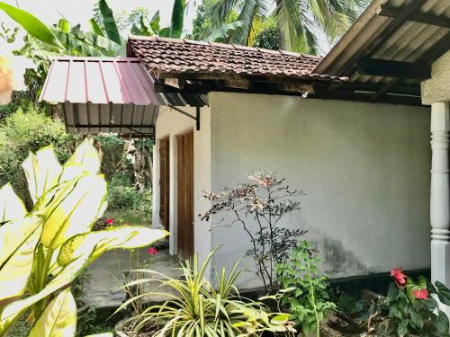 a small building with a pink awning and some plants at Lucky's Homestay in Maho