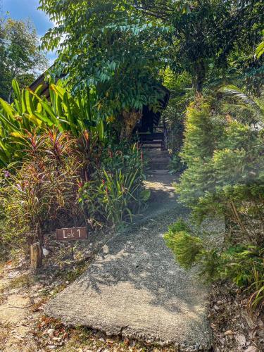 a garden with a path with plants and trees at Hillhouse - Koh Yao Noi in Ko Yao Noi