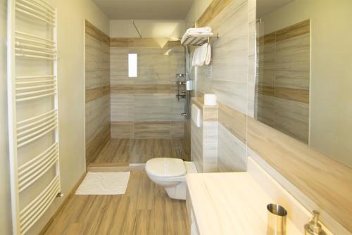 a bathroom with a toilet and a shower at La Conacul Vesel Săpânța in Săpînţa