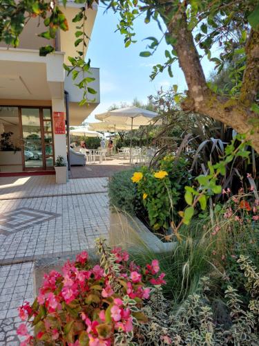 Gallery image of Hotel Astor B&B in Lido di Classe