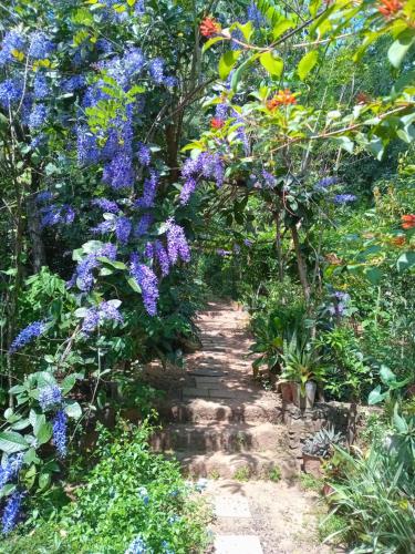 a path through a garden with purple flowers at Bright Sun Safari in Udawalawe