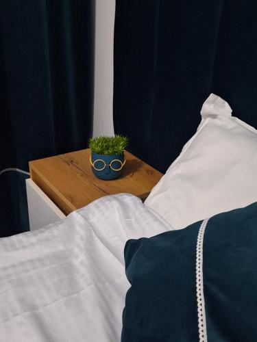 a plant sitting on a table next to a bed at Studio - Cozy Home Slatina in Slatina