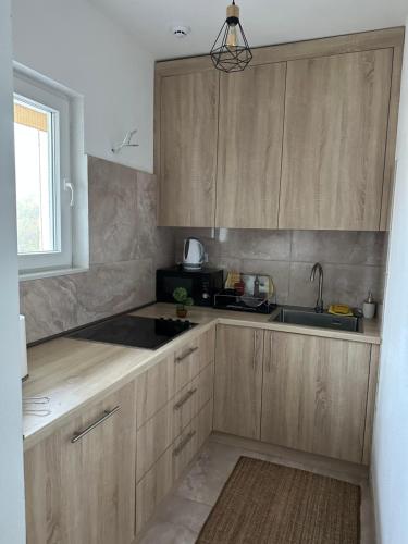 eine Küche mit Holzschränken und einem Waschbecken in der Unterkunft Apartment Eneya in Pazarić