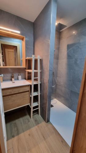 a bathroom with a sink and a shower at L'Étoile du Linga in Châtel