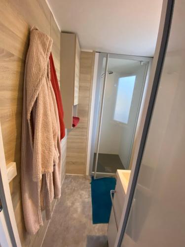a bathroom with a shower and a mirror at Saint tropez-Gassin Bungalow LUXE 6 personnes in Gassin