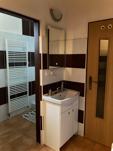 a bathroom with a sink and a mirror at Vila Lesana in Nová Lesná