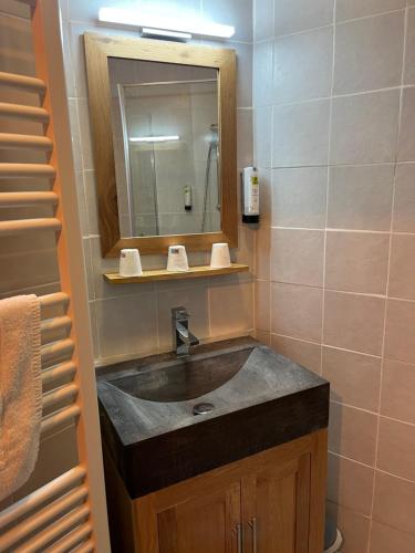 y baño con lavabo y espejo. en Logis Le Chalet, en Saint-Maurice-en-Trièves
