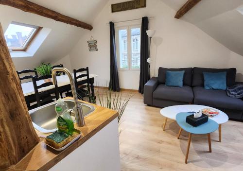 Il dispose d'une cuisine et d'un salon avec un canapé et un évier. dans l'établissement Le 6ème ciel de Gutenberg - climatisé, à Tours