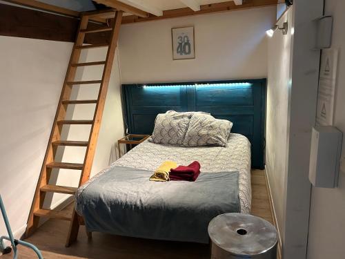 une chambre avec un lit superposé et une échelle dans l'établissement Le Saint-Lazare appartement au calme intra muros, à Avignon