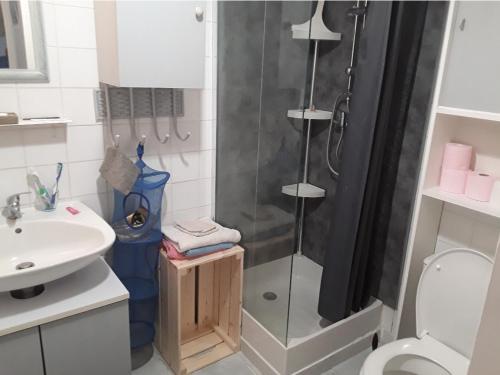 La salle de bains est pourvue d'une douche, de toilettes et d'un lavabo. dans l'établissement Grand studio sur jardin Nantes Beaujoire B, à Nantes