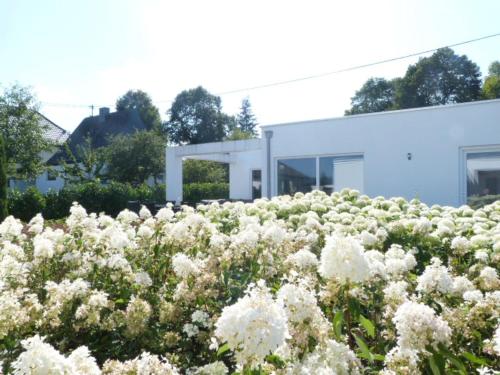 Κήπος έξω από το Villa Mosel