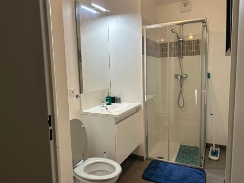 La salle de bains est pourvue d'une douche, de toilettes et d'un lavabo. dans l'établissement Appartement T2 -Parking -35Min Paris RER 2Min à Pied, à Évry-les-Châteaux