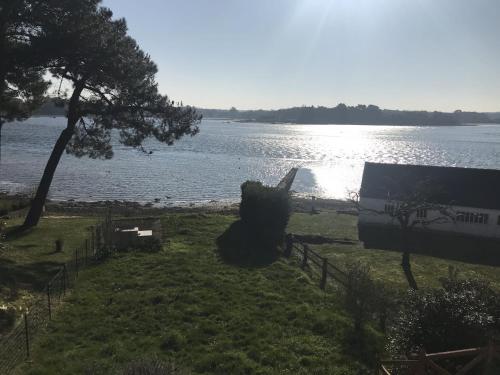 un grand ours en peluche assis sur l'herbe près de l'eau dans l'établissement Havre de Paix les pieds dans l'eau, à Locoal-Mendon