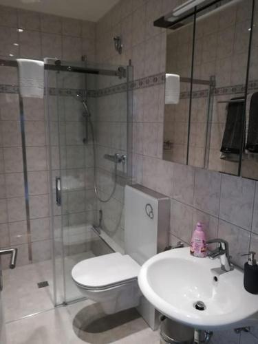 a bathroom with a shower and a toilet and a sink at Appartment, gemütlich u. zentral in Hattingen
