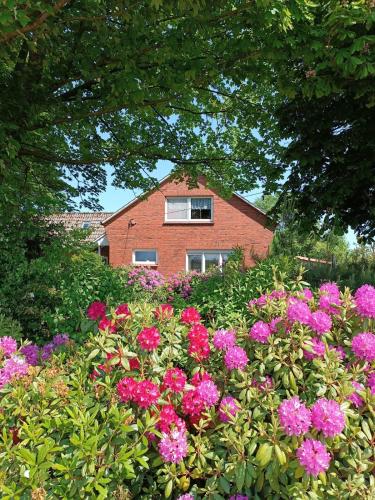 a field of flowers in front of a house at Ferienhaus Bonishof in Westerholt