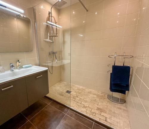 une salle de bain avec une douche, un lavabo et un miroir dans l'établissement Vue Mer, face Port, proximité Centre et Plage, à Antibes
