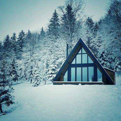 une cabane dans une forêt enneigée avec des arbres dans l'établissement Vrleti Tare, à Bajina Bašta