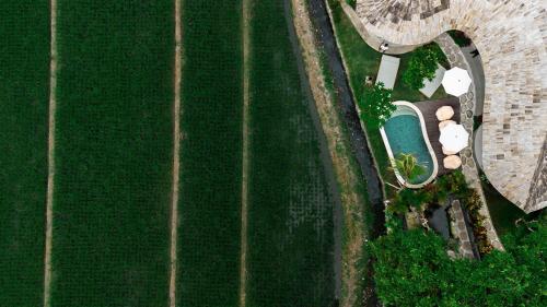 an overhead view of a field with a swimming pool at Shanti Boutique Retreat in Tanah Lot