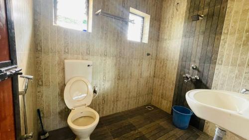 卡蘭古特的住宿－Luxury 3 bhk beach apartment Calangute，一间带卫生间和水槽的浴室