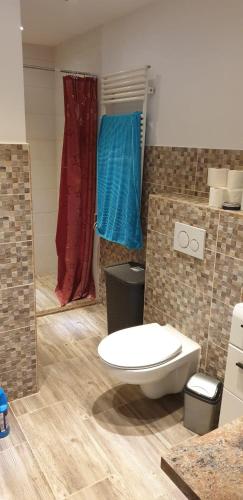 a bathroom with a toilet and a red shower at Apartment Jessy in Crikvenica