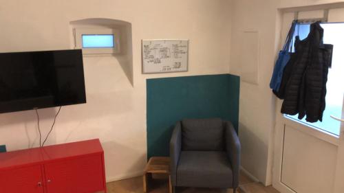 a living room with a chair and a flat screen tv at 1-Zimmer Gartenwohnung in Speyer in Speyer