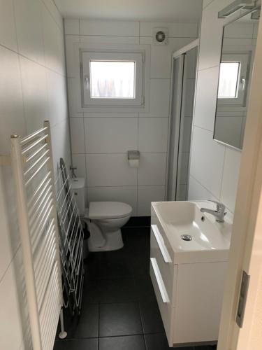 Baño blanco con lavabo y aseo en Family friendly holiday home en Hulshorst