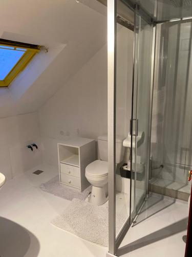 een badkamer met een toilet en een glazen douche bij Perk25A in Steenokkerzeel