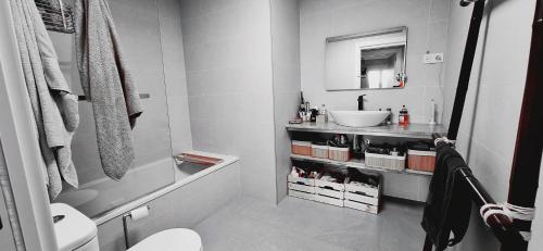 een kleine badkamer met een wastafel en een toilet bij Superático panorámico y luminoso in Alhama de Granada