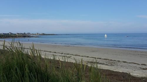 La palmeraie de brévy