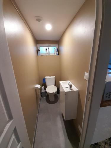 une petite salle de bain avec toilettes et lavabo dans l'établissement La palmeraie de brévy, à Réville