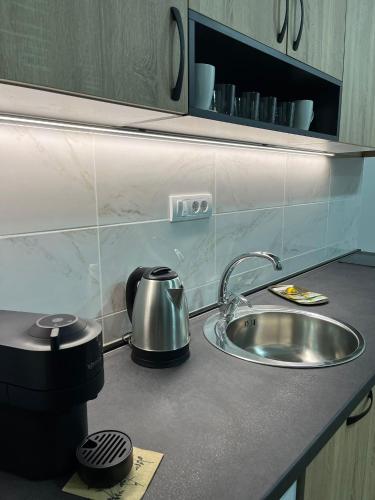 a kitchen counter with a sink and a tea kettle at Apartmani Profesional Pajkovic in Valjevo