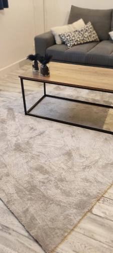 a living room with a couch and a rug at F2, entièrement neuf, 65m² in Montceau-les-Mines