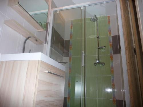 ein Bad mit einer Dusche und einer Glastür in der Unterkunft Appartement de la Fruitière in Arith