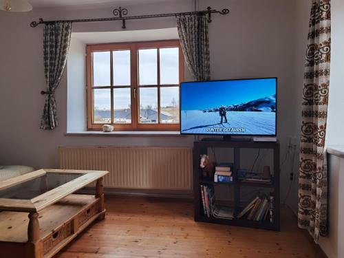 a living room with a flat screen tv on a stand at Landhaus auf der Alm 
