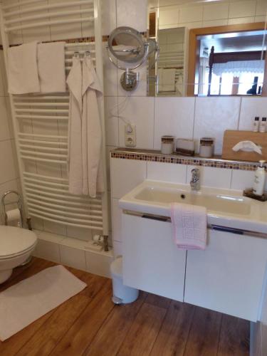 a bathroom with a sink and a toilet and a mirror at Edelweiß Hörnerbahnen von Mai bis Oktober frei in Obermaiselstein