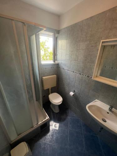 a bathroom with a toilet and a shower and a sink at Villa Sunce in Jezera