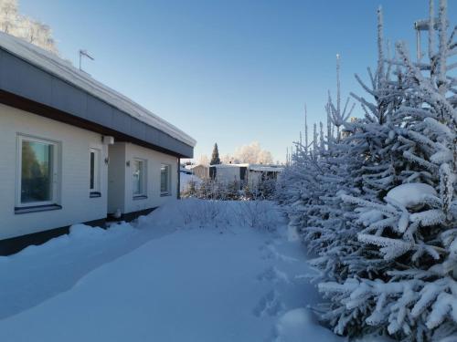 Rovaniemi - quality detached house with sauna nearby services during the winter