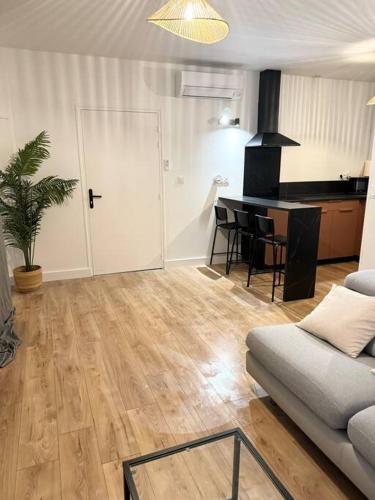 un salon avec un canapé et une cuisine dans l'établissement Appartement Éloi - 1 Chambre, à Mont-de-Marsan