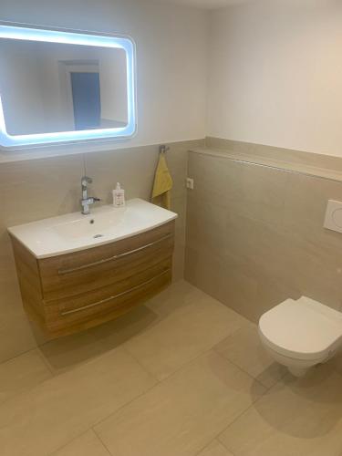 a bathroom with a toilet and a sink and a mirror at Boardinghouse Schnaitheim - Apartment in Heidenheim an der Brenz