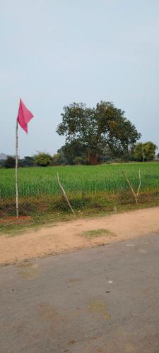 Gallery image of Laxmi home stay in Ghūra