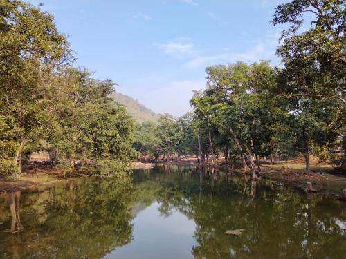 a river with trees on the sides of it at Laxmi home stay in Ghūra